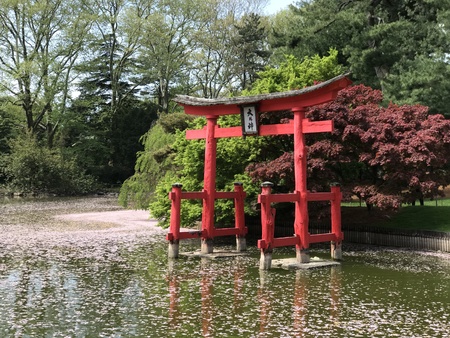 New York City - May 4, 2018: Brooklyn Botanic Garden.のeditorial素材
