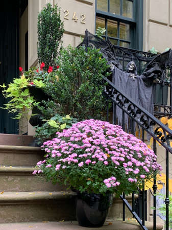 america, apartments, architecture, autumn, autumnal, background, bench, building, center, central, children, decorations, empire, entrance door, exterior, facade, fall, festival, fun, halloween, histoのeditorial素材