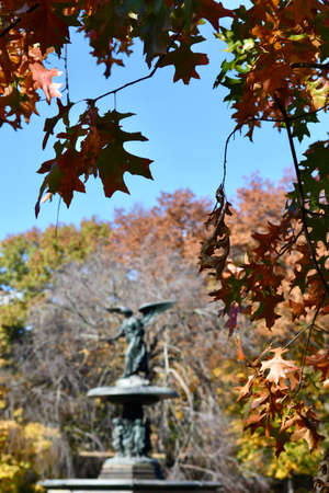 Central Park in the autumn, Manhattan, New York, USA.