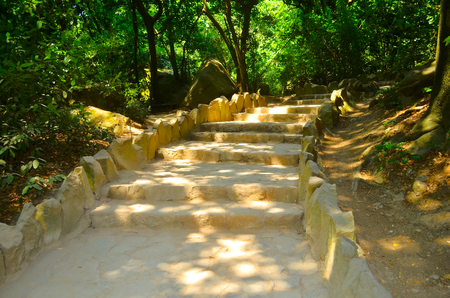 Road in the forest. The road is paved from the stone leading straight into the forest. Through the trees, the rays of the sun and light the road.の写真素材