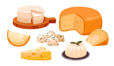 A set of different types of cheese. Dairy products. Organic homemade food. Cartoon vector illustrationのイラスト素材