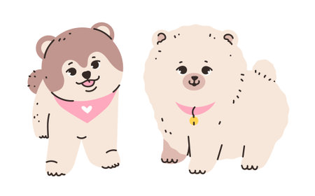 Playful spitz with its characteristic fluffy fur and alert expression. Dog isolated on a white background. Flat vector illustration.のイラスト素材
