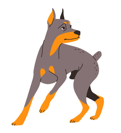 Illustration of a protective Doberman with its characteristic sleek fur and muscular body. Flat vector illustration isolated on white background.のイラスト素材