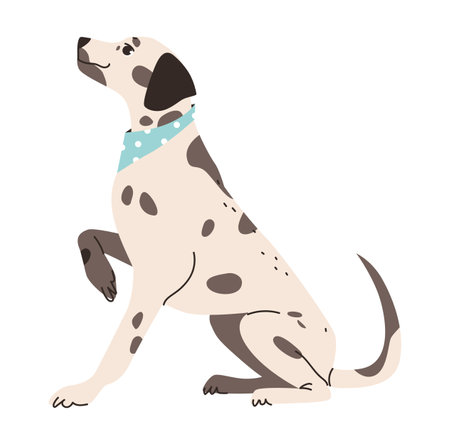 Flat vector illustration of a Dalmatian dog. Illustration of a happy Dalmatian with a wagging tail.のイラスト素材