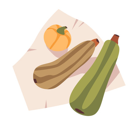 Freshly harvested zucchini and pumpkins. Organic gardening and sustainability. Flat vector illustrationのイラスト素材