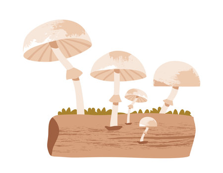 Rustic fly agaric mushroom scene with moss, tree stumps, and forest details. Flat vector illustrationのイラスト素材