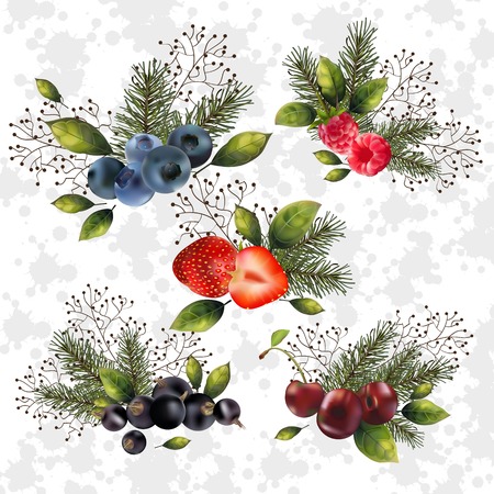 Christmas set of berries and spruce branches for your decor.のイラスト素材