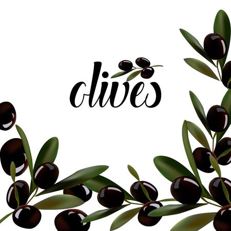 Background of sprigs of olives.のイラスト素材