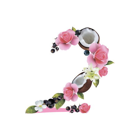 Figure Two of realistic coconut and flowers on a white background.のイラスト素材
