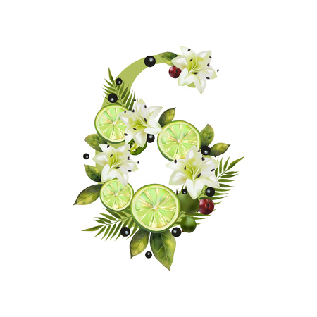 Digit Six of realistic lime and flowers on a white background. The figure is decorated with lilies, palm leaves and cherriesのイラスト素材