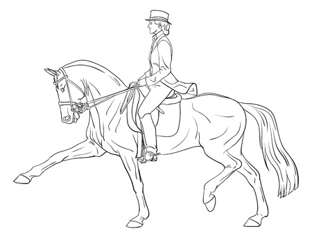 Woman horse dressage silhouette の写真素材