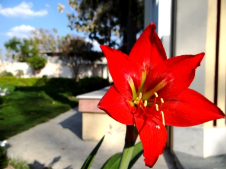 Red Green Blueの写真素材