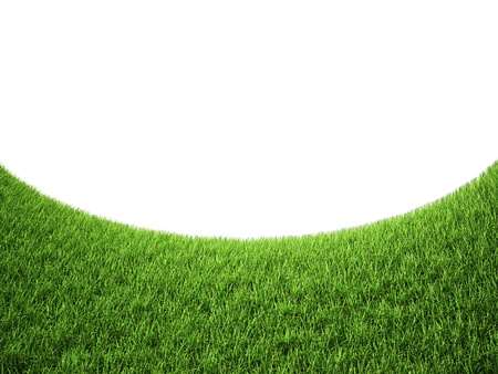 Green grass Isolated on Whiteの写真素材