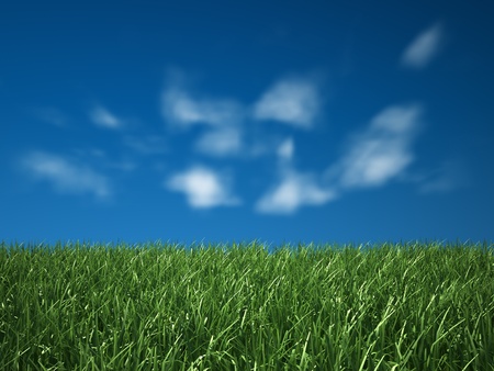 Green grass with sky backgroundの写真素材
