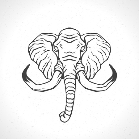 Elephant face icon emblem template mascot symbol for business or shirt design. Vector Vintage Design Element.のイラスト素材