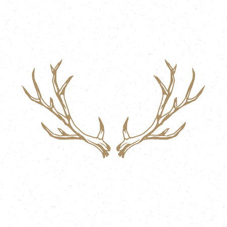 Deer Horns hand drawn emblem template vector vintage design element.のイラスト素材