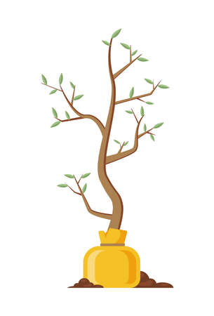 Natural green tree seedling with leaves in yellow package icon isometric vector illustration. Organic wood plant greenery growing agriculture and gardening isolated. Eco friendly botanical environmentのイラスト素材