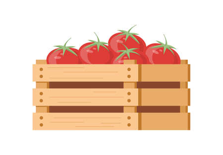 Heap fresh appetizing organic tomatoes in wooden box isometric icon vector illustration. Seasonal autumn eco friendly harvest vegetables pile. Garden vitamin crop in transportation containerのイラスト素材