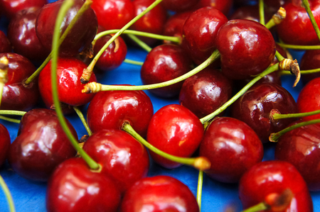 handful of red natural juicy appetizing sweet cherriesの写真素材