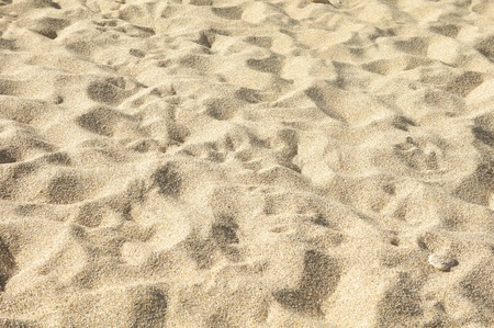 sea sand background texture, top view, shadow on the sandの写真素材
