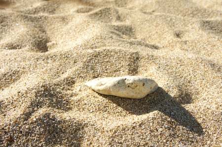 sea sand background texture stone in the sandの写真素材