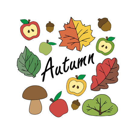 Autumn set of items. colorful foliage. brown mushroom and apples. acorn leaves tree bushのイラスト素材