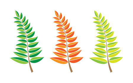Set of vector branches. hand drawn tree branches with leaves isolated on white background. design element leaves decoration. logo iconのイラスト素材