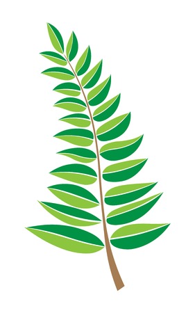 green botanical illustration, vector a branch with leaves. design element. Hand drawn plant and tree branches with leaves.のイラスト素材