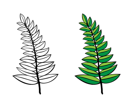 Set of vector branches. hand drawn tree branches with leaves isolated on white background. design element leaves decorationのイラスト素材