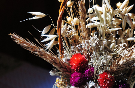 bouquet of dried flowers. dry flowers. spring flower bouquet photography.の写真素材