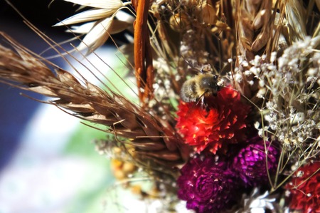 bouquet of dried flowers. dry flowers. spring flower bouquet photography.の写真素材