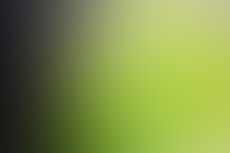 Light abstract background. green gradient blurred background. background for design and web.の写真素材