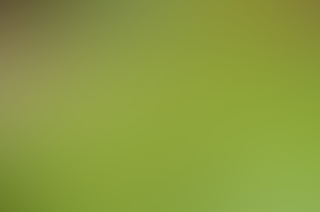 Light abstract background. green gradient blurred background. background for design and web.の写真素材