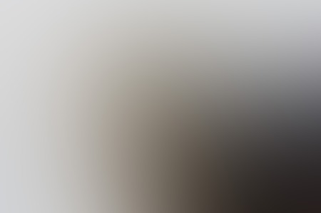 Light abstract background. gray gradient blurred background. background for design and web.の写真素材
