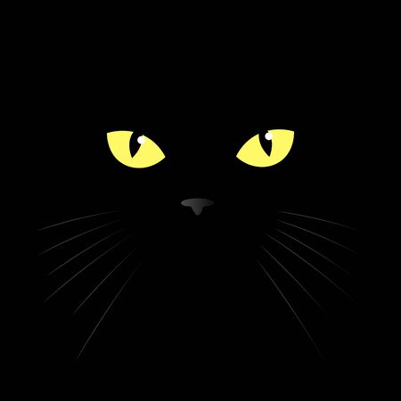 cat's eye of a black cat. Vector illustration. eyes of a yellow cat in the dark.のイラスト素材