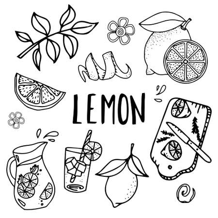 Lemon vector fruit vegan cuisine ingredient. Lemons set. Vector sketch, doodle isolated on white background. Lemon hand drawn sketch collection.のイラスト素材