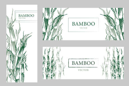 Natural Tropical Plant Background. set Three banners with green bamboo trees. Vector illustration Traditional Japanese. Bamboo flyer.のイラスト素材