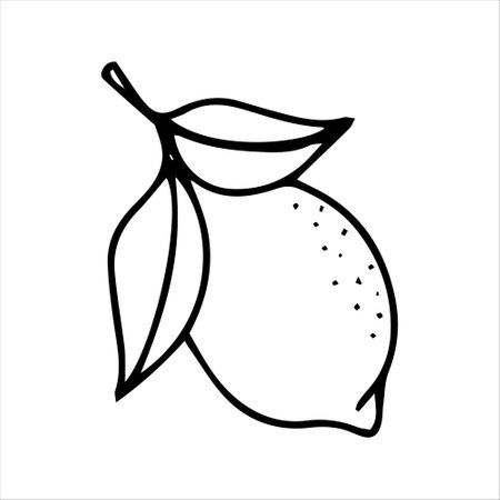vector cartoon fresh lemon. lemon doodle icon illustrationのイラスト素材