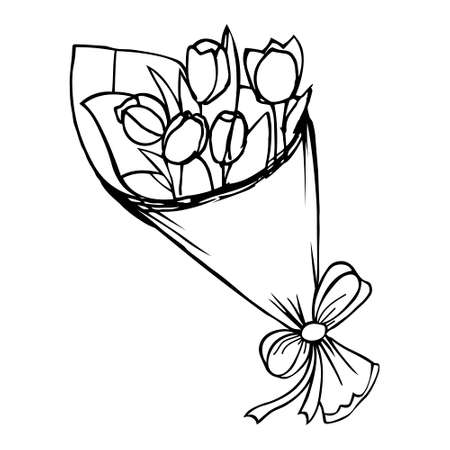 Flower gift for Valentine's day, birthday, holiday. floral doodle.Vector hand drawn tulips bouquet illustration.のイラスト素材