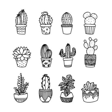 Cute hand drawing vector cactus in pots.のイラスト素材