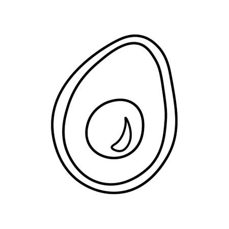 Line drawing of sliced healthy organic avocado. Modern line draw design graphic vector illustration. Fresh summer fruitage concept for fruit garden icon.のイラスト素材