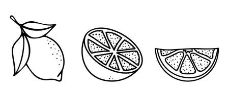 Lemon icons set. Simple design. Lime icons. Citrus design element for postcard, logo, icon, web. Vector illustration in doodle style isolated on white background.のイラスト素材