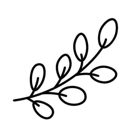 Hand drawn sketch drawings of plants, branches and leaves. Floral design element for wedding, holiday, postcard,   icon. Vector illustration in doodle style isolated on white background.のイラスト素材