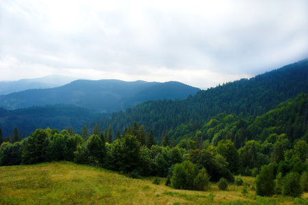 Lush forested mountains under a cloudy sky with rolling hills and vast greenery.の写真素材