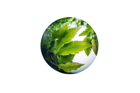 A green globe adorned with the leaves of a tree representing the concept of ecological harmony and efforts to combat climate change on a white background. Generative AI.の素材