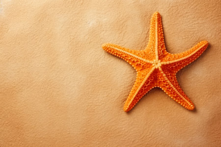 Starfish in the sand. Copy space flat. The concept of tourism and recreation. Generative AI.の素材