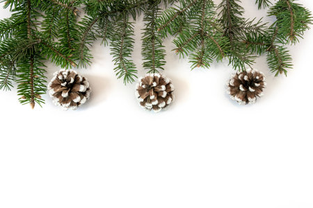 Spruce branches with cones on a white background. Holiday postcard, invitation. The concept of New Year and Christmas. copyspace.の写真素材