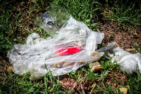 Thrown a cellophane bag on the grass. The concept of environmental pollution with garbage and household waste disposal.の写真素材
