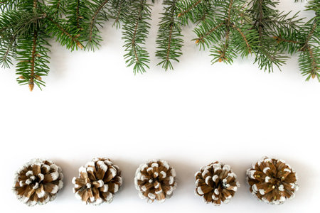 Spruce branches with pinecones on a white background. Holiday postcard, invitation. The concept of New Year and Christmas. copyspace.の写真素材