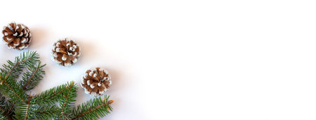 Spruce branches with cones on a white background. Holiday banner, postcard, invitation. The concept of New Year and Christmas. copyspace.の写真素材